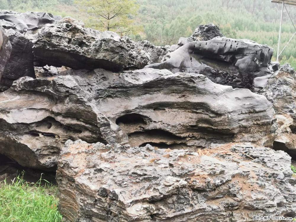 风景石、假山石大量有货,有需要的欢迎联系 - 新手上路 - 桂林生活社区 - 桂林28生活网 www.20772121.com-www.28life.com