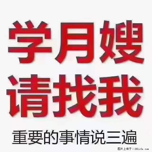 为什么要学习月嫂,育婴师? - 新手上路 - 桂林生活社区 - 桂林28生活网 www.20772121.com-www.28life.com