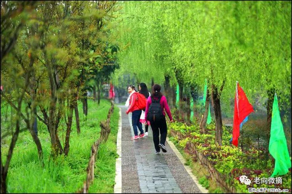 【春天,广西桂林灌阳县向您发出邀请!】江口老街又逢春 - 游山玩水 - 桂林生活社区 - 桂林28生活网 www.20772121.com-www.28life.com