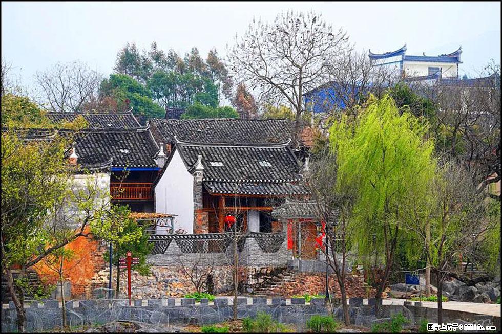 【春天,广西桂林灌阳县向您发出邀请!】江口老街又逢春 - 游山玩水 - 桂林生活社区 - 桂林28生活网 www.20772121.com-www.28life.com