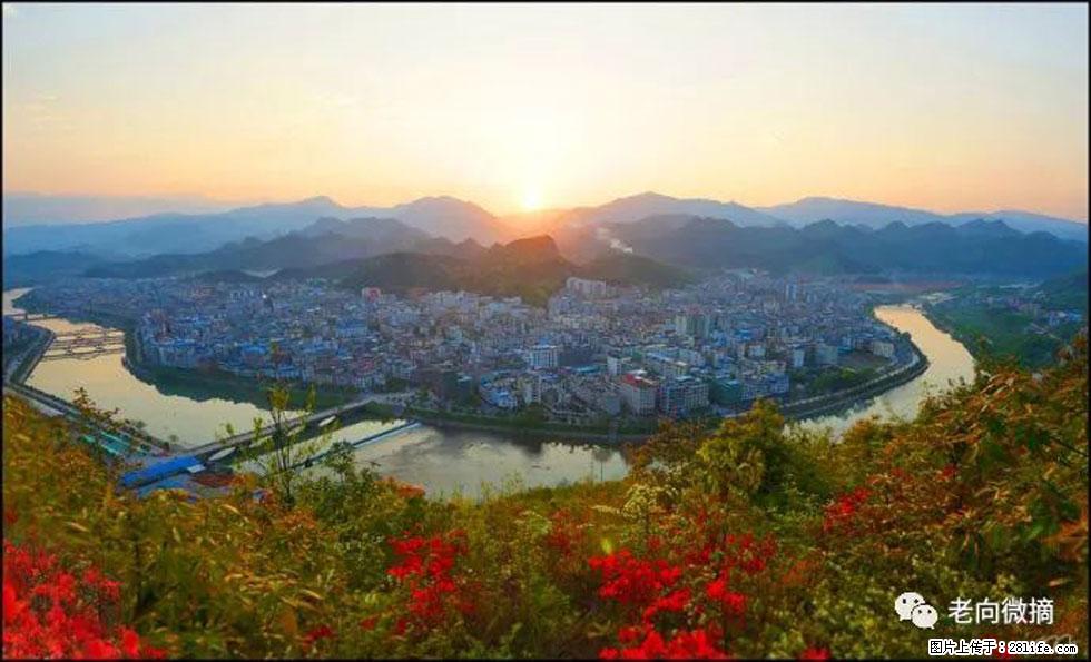【春天,广西桂林灌阳县向您发出邀请!】登麒麟山,相约映山红 - 游山玩水 - 桂林生活社区 - 桂林28生活网 www.20772121.com-www.28life.com
