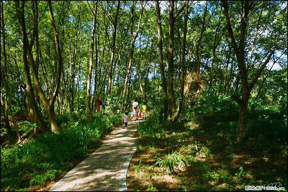 【春天,广西桂林灌阳县向您发出邀请!】熊家寨湿地公园 - 游山玩水 - 桂林生活社区 - 桂林28生活网 www.20772121.com-www.28life.com
