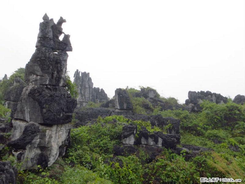 桂林旅游名城景点:灌阳文市石林 - 游山玩水 - 桂林生活社区 - 桂林28生活网 www.20772121.com-www.28life.com