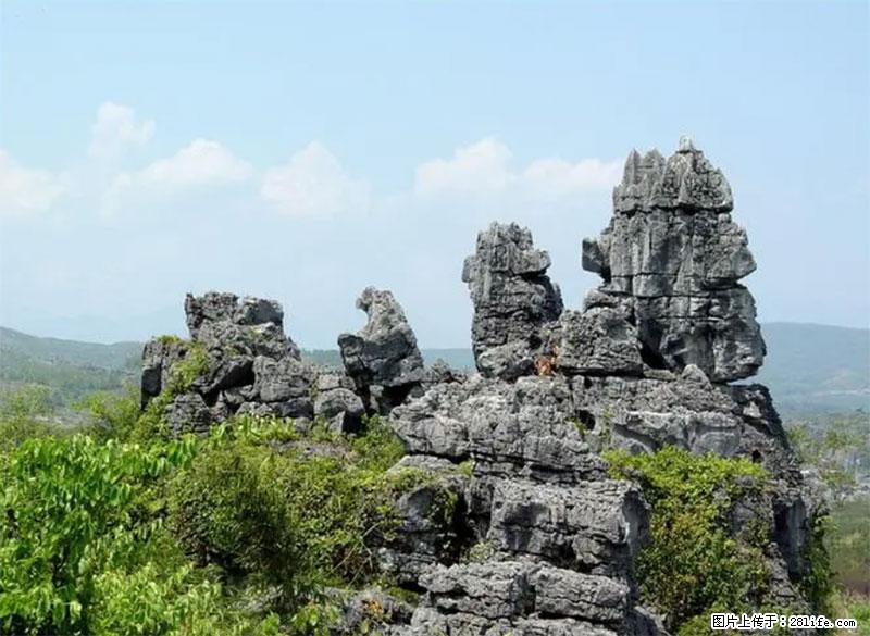 桂林旅游名城景点:灌阳文市石林 - 游山玩水 - 桂林生活社区 - 桂林28生活网 www.20772121.com-www.28life.com