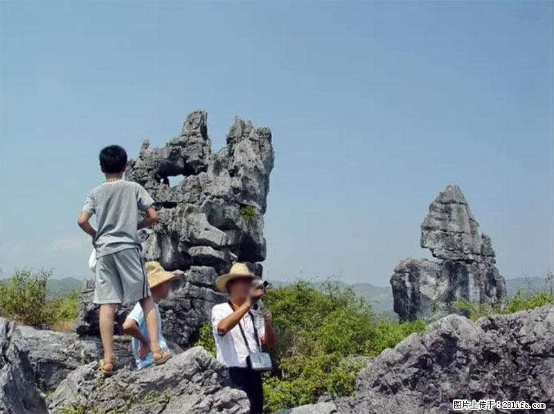 桂林旅游名城景点:灌阳文市石林 - 游山玩水 - 桂林生活社区 - 桂林28生活网 www.20772121.com-www.28life.com