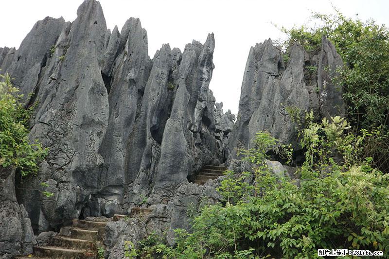 桂林旅游名城景点:灌阳文市石林 - 游山玩水 - 桂林生活社区 - 桂林28生活网 www.20772121.com-www.28life.com