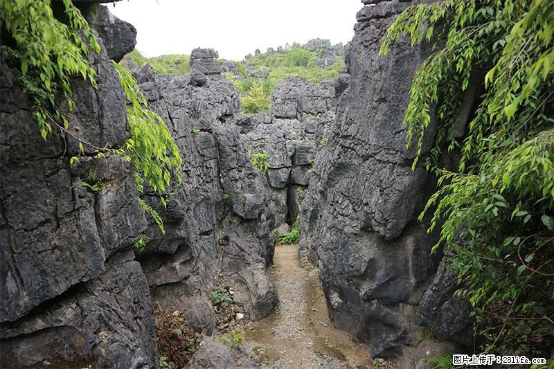 桂林旅游名城景点:灌阳文市石林 - 游山玩水 - 桂林生活社区 - 桂林28生活网 www.20772121.com-www.28life.com