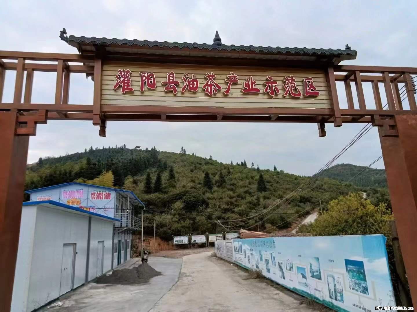 【灌阳县油茶产业示范区】一个有着充实的精神生活的人,对待身外之物自会有一种淡泊的态度 - 美食天地 - 桂林生活社区 - 桂林28生活网 www.20772121.com-www.28life.com