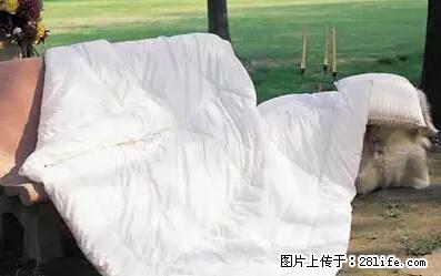 被子有异味?只要这样做,比晒太阳还强100倍! - 家居生活 - 桂林生活社区 - 桂林28生活网 www.20772121.com-www.28life.com