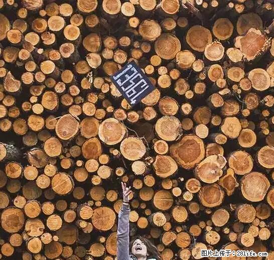 辞掉工作周游世界?现在他们在洗厕所…… - 游山玩水 - 桂林生活社区 - 桂林28生活网 www.20772121.com-www.28life.com