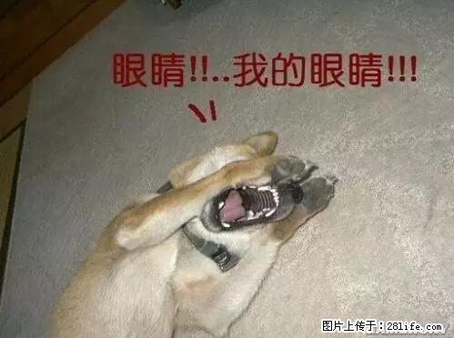 笑癫了!一女的怀孕三年未生,他终于忍不住了... - 娱乐八卦 - 桂林生活社区 - 桂林28生活网 www.20772121.com-www.28life.com