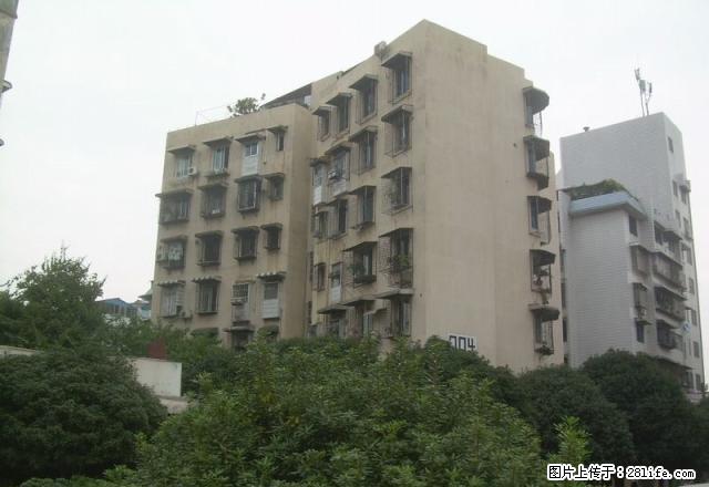 上海路中央尊贵万象城旁 聚龙湾三楼一房一厅60平家电家具齐全 - 房屋出租 - 房屋租售 - 桂林分类信息 - 桂林28生活网 www.20772121.com-www.28life.com
