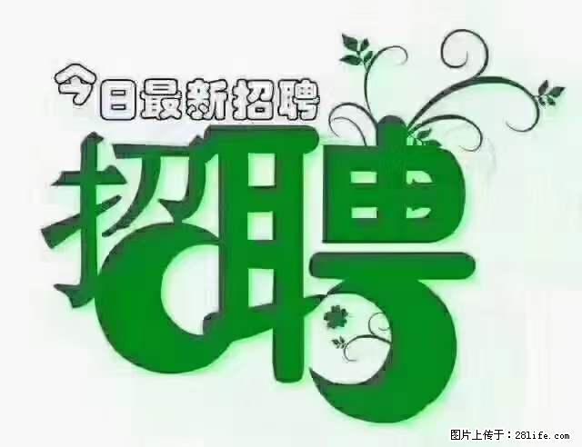 【招聘摄像师】待遇:试用期6000元/月,转正7000元/月+五险一金+餐补+节日福利+奖金 - 职场交流 - 桂林生活社区 - 桂林28生活网 www.20772121.com-www.28life.com