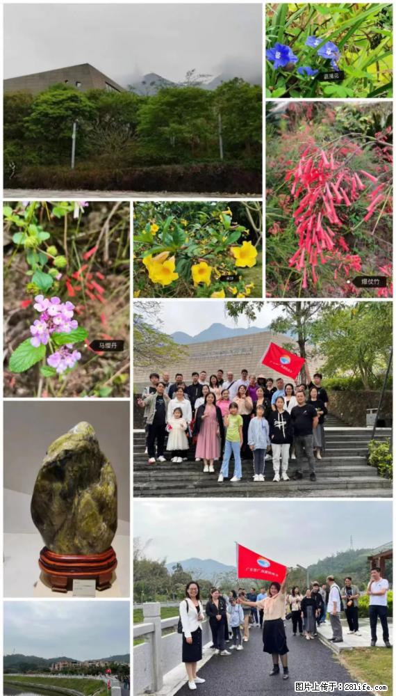 “粤灌文化 美好生活”油茶文化主题活动在广东深圳成功举办 - 桂林生活资讯 - 桂林28生活网 www.20772121.com-www.28life.com