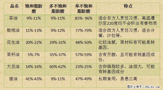 揭秘茶油的5大核心营养成分!被称为人体健康的“守护盾”! - 桂林生活资讯 - 桂林28生活网 www.20772121.com-www.28life.com