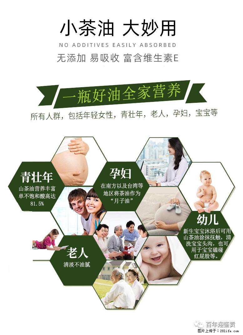 世界没有真相,只有认知,最好的食用油是中国的山茶油! - 桂林生活资讯 - 桂林28生活网 www.20772121.com-www.28life.com